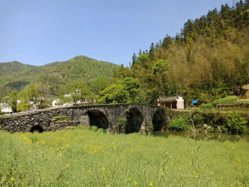 通往养鸡场的山路